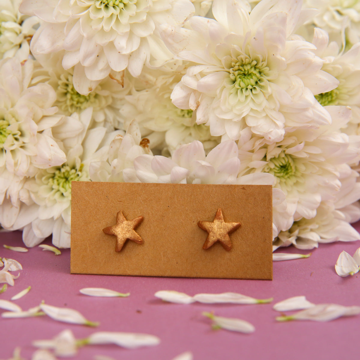 Starfish Terracotta Earrings