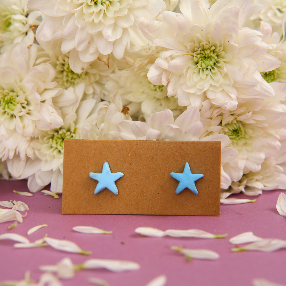 Starfish Terracotta Earrings