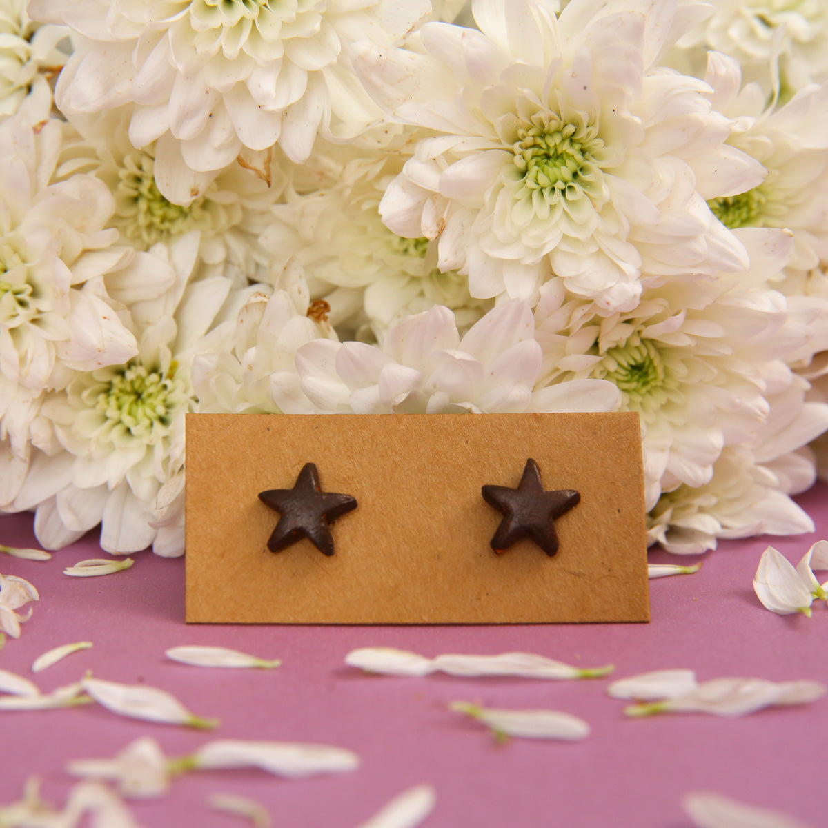 Starfish Terracotta Earrings