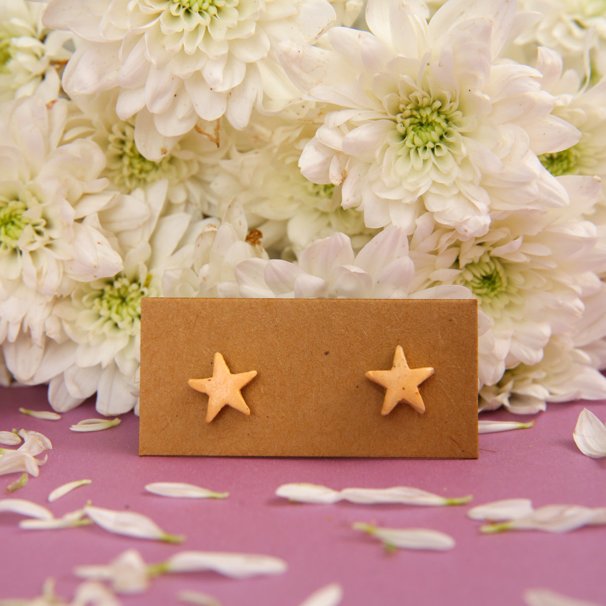 Starfish Terracotta Earrings