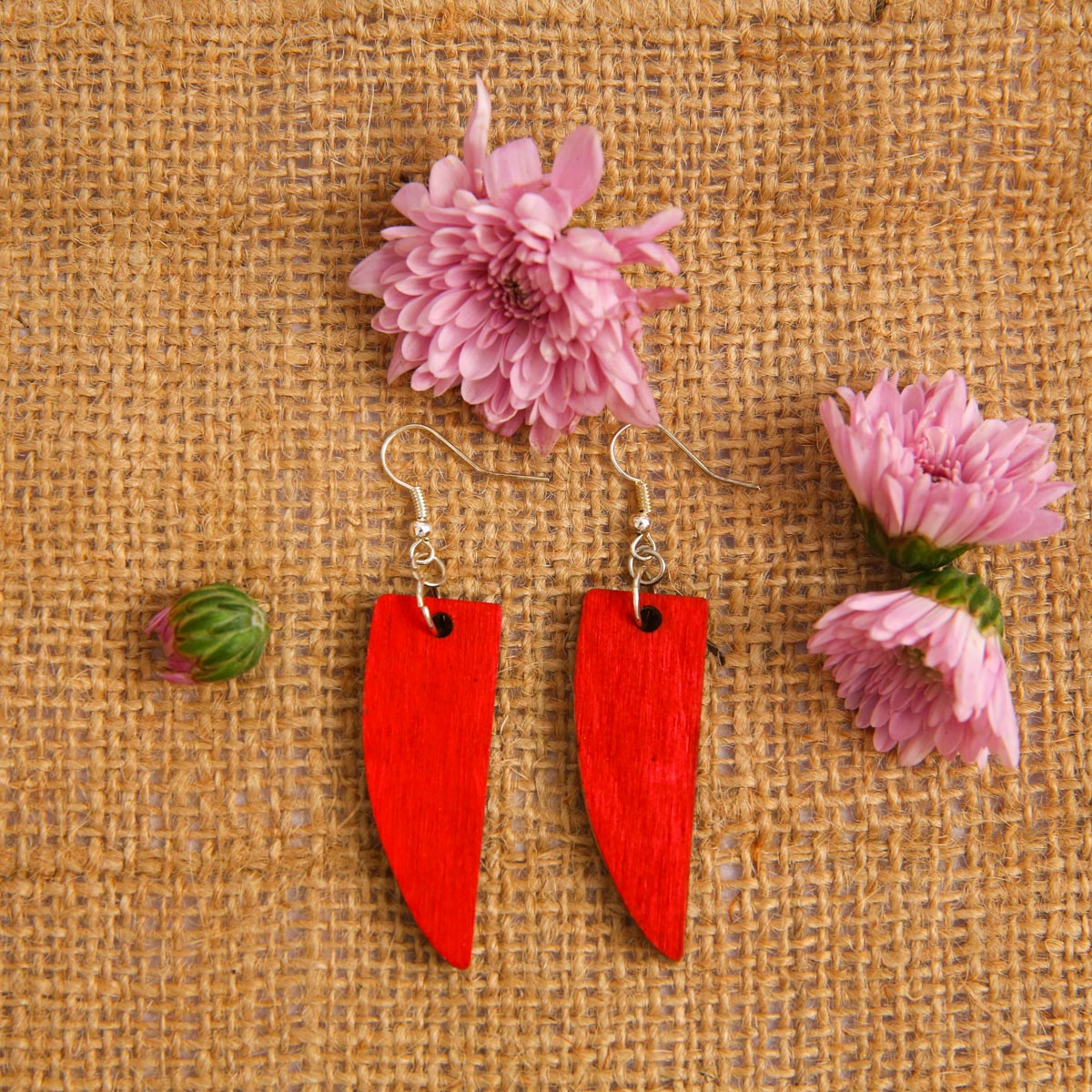 Red Beak Wooden Earrings
