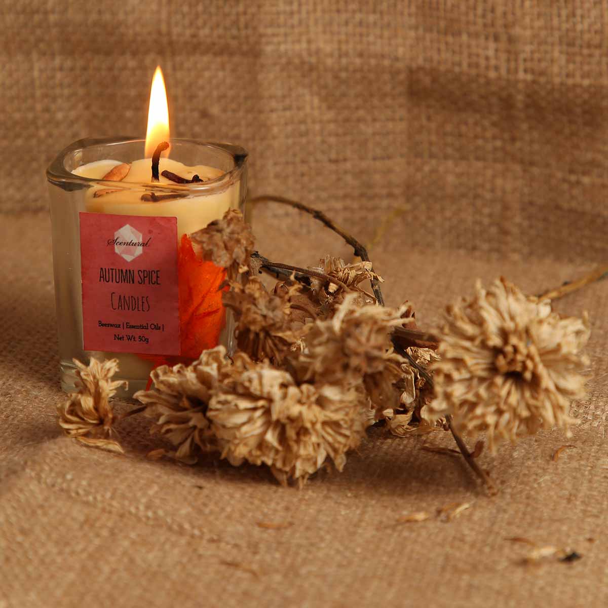 Autumn spice Candles
