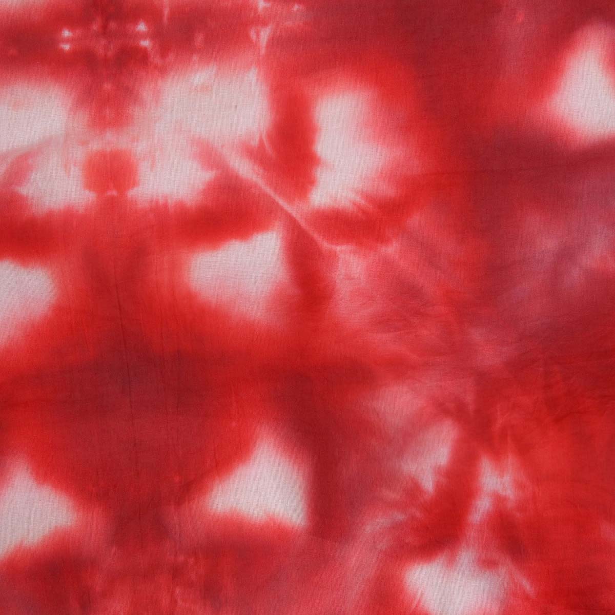 Eclipse Shibhori Arashi Tie Dye Saree