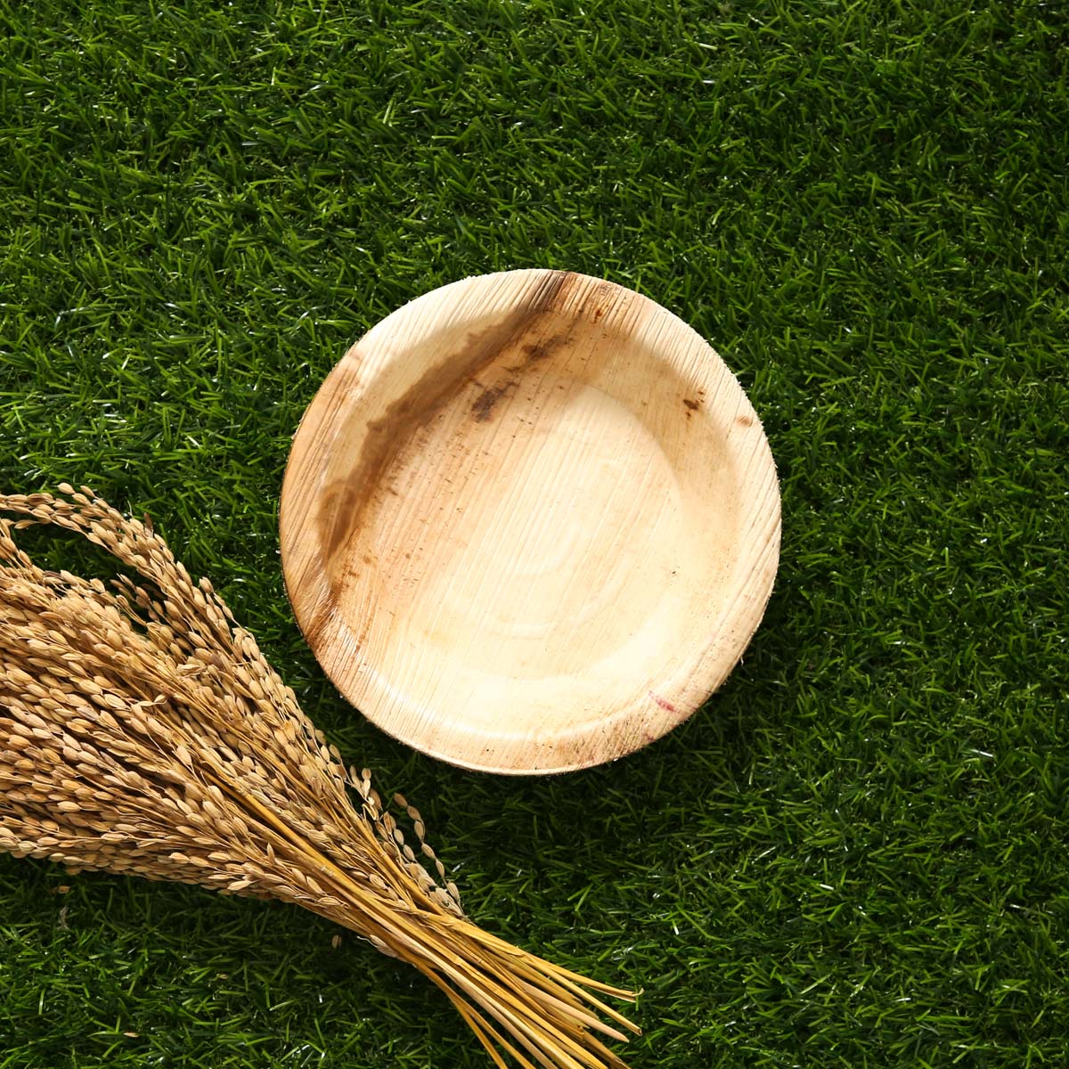 Areca Nut 6" Plate