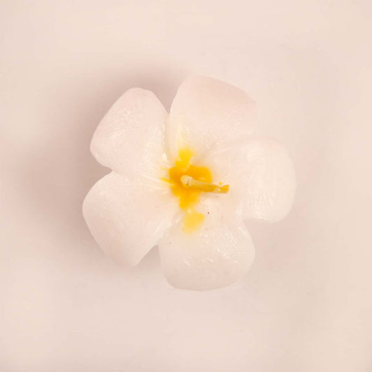 Araliya Candle