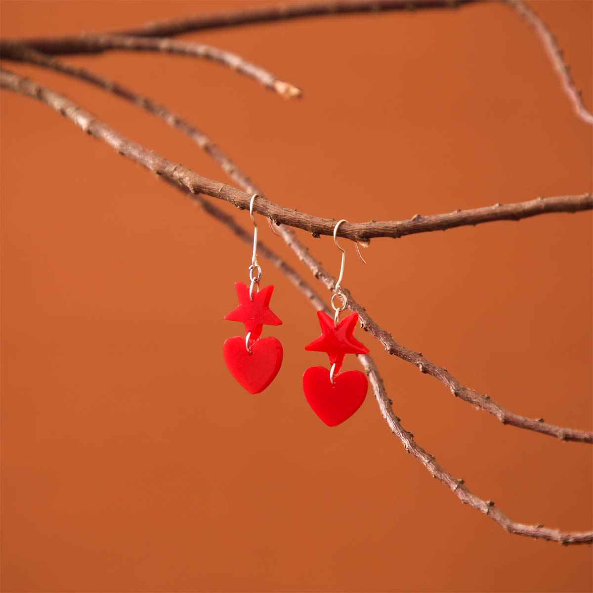 Combo Resin Earrings