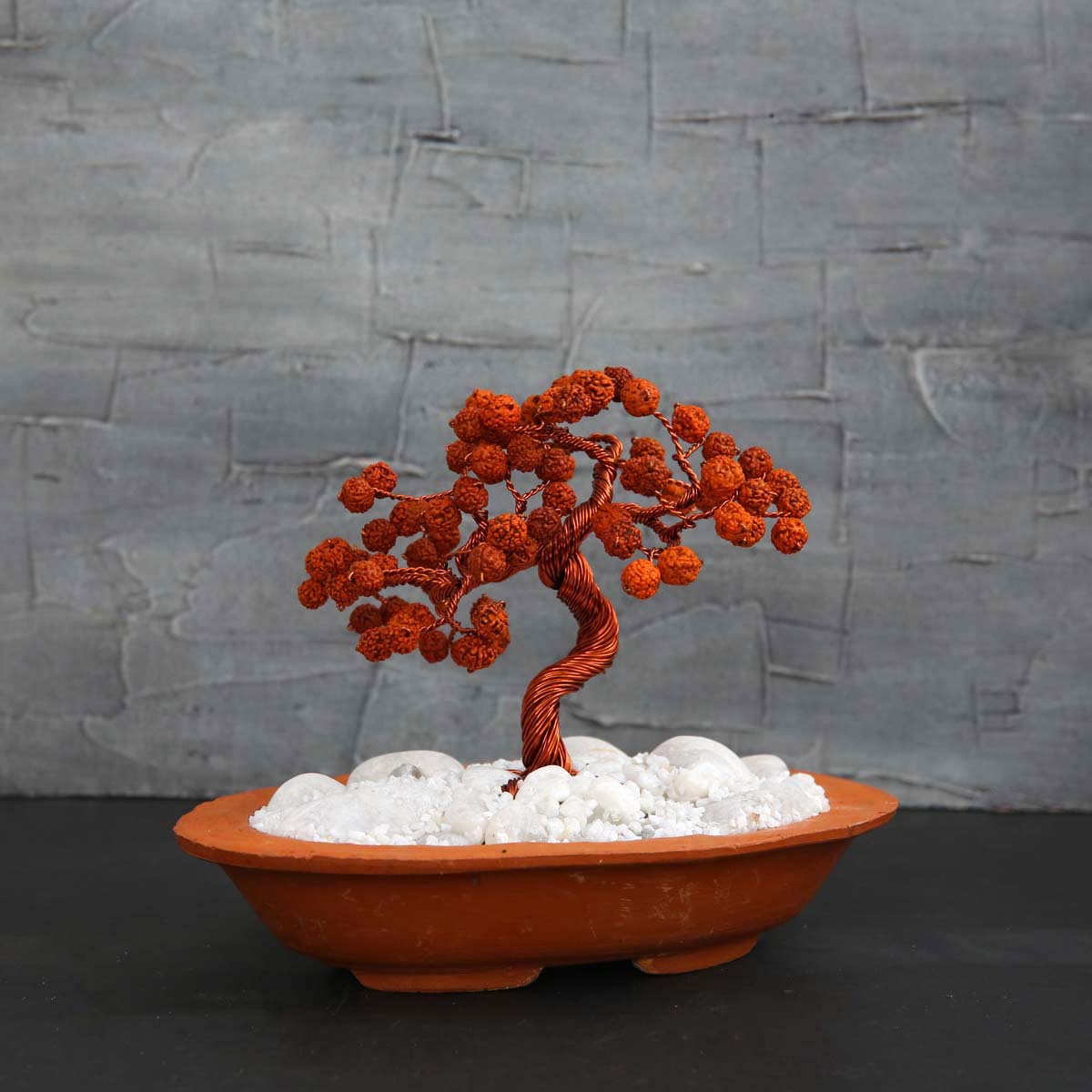 Rudraksha Tree