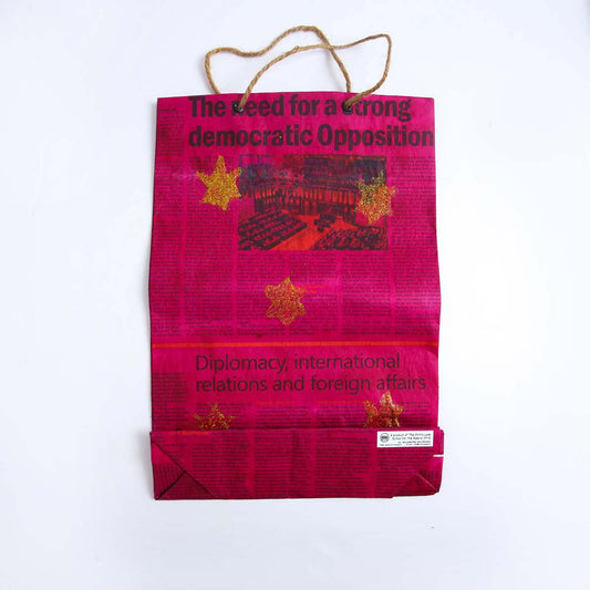 Fuschia Paper Gift Bag