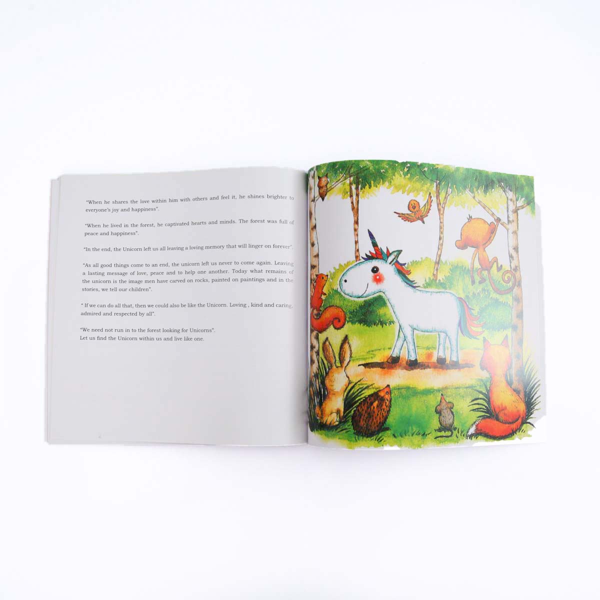 The Unicorn Kids' Book