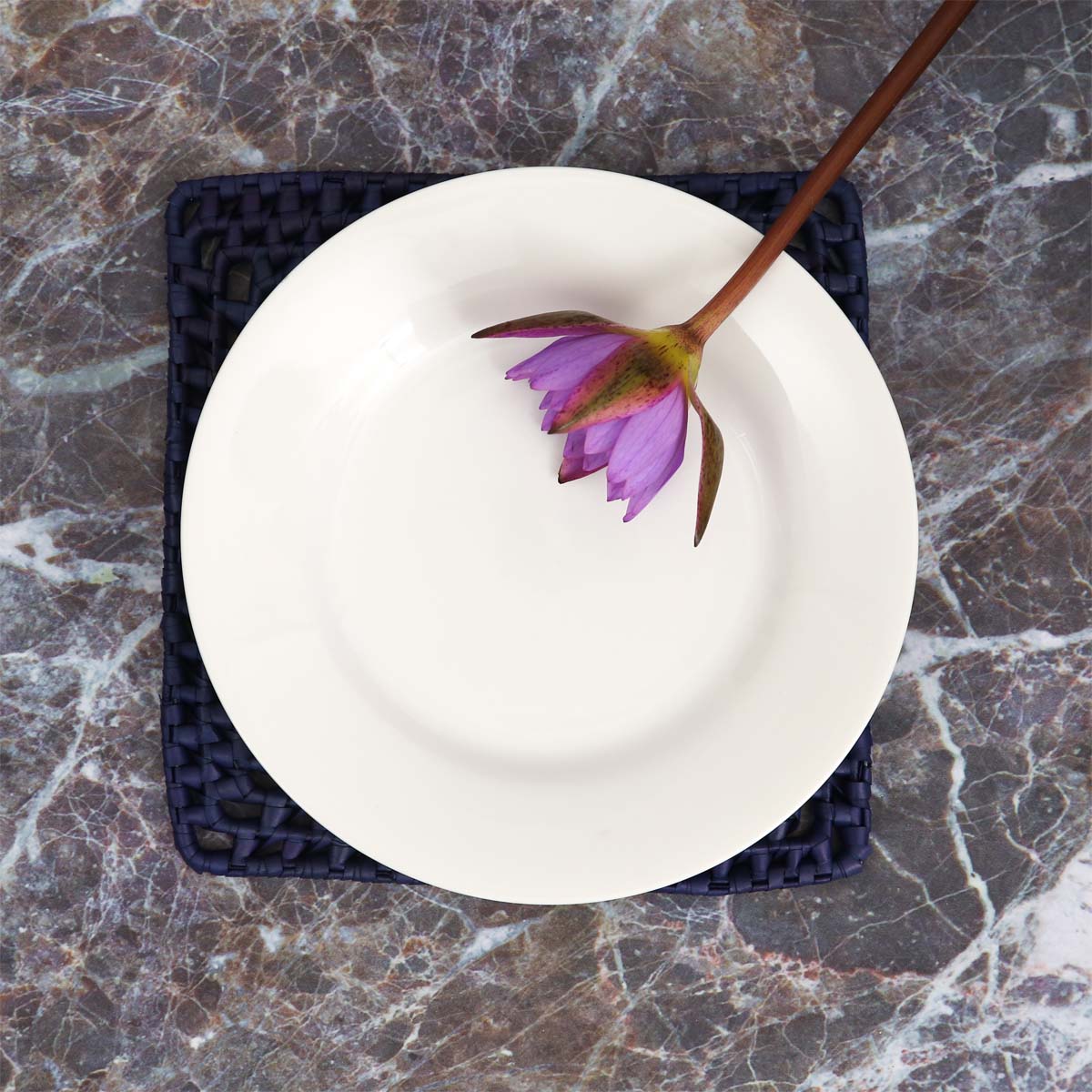 Cobalt Palmyra Heat Mat