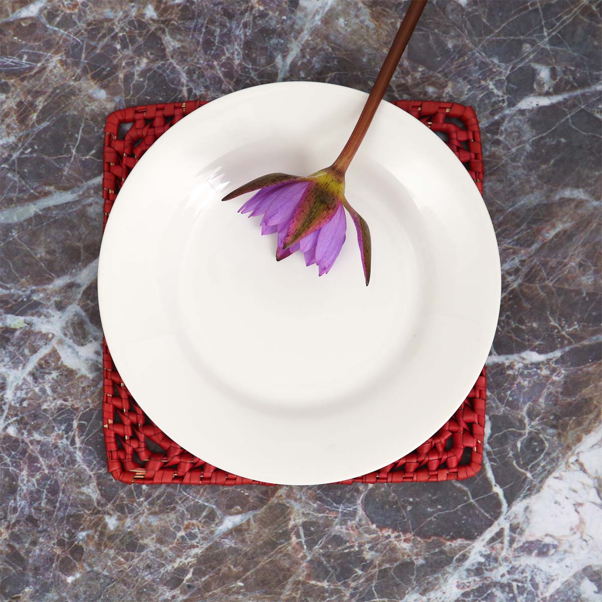 Ruby Palmyra Heat Mat