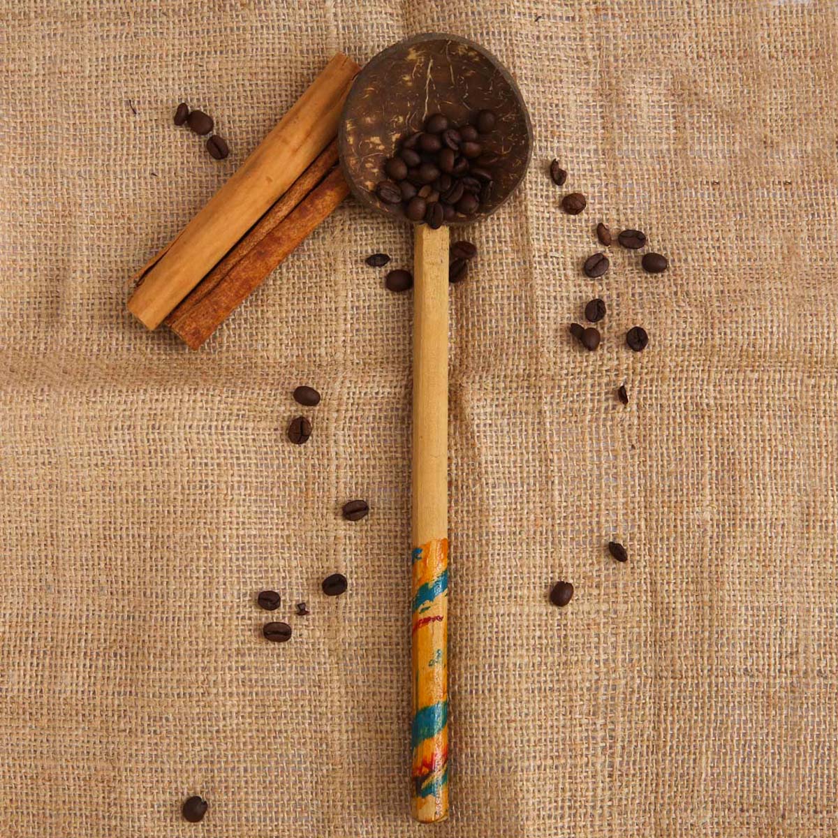 Coconut Shell Spoon