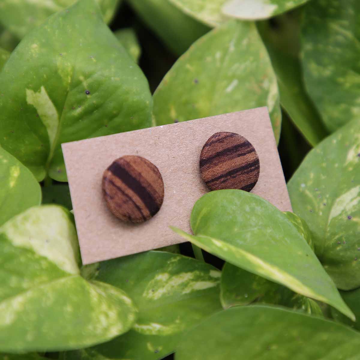 Stripy Wood Earrings