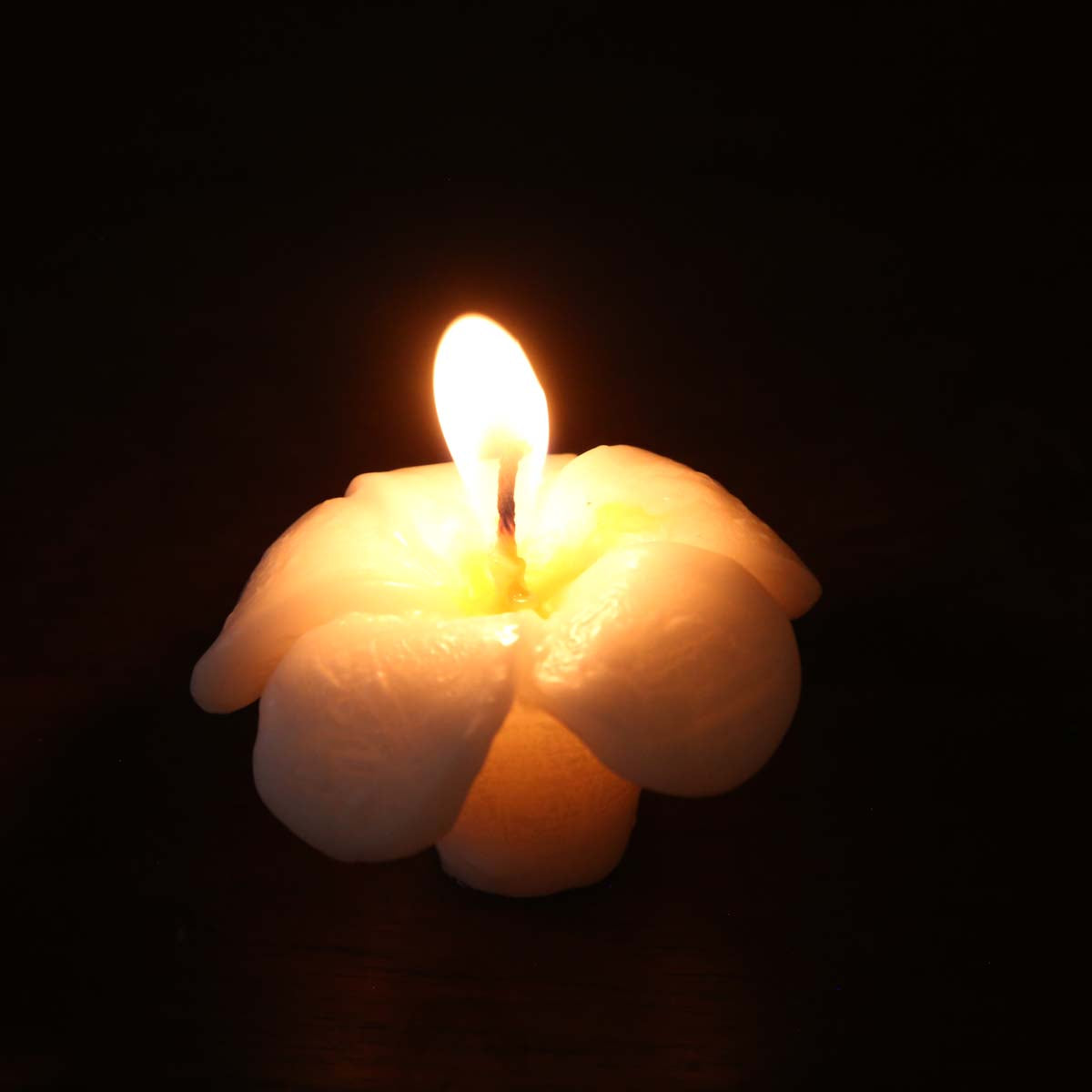 Araliya Candle