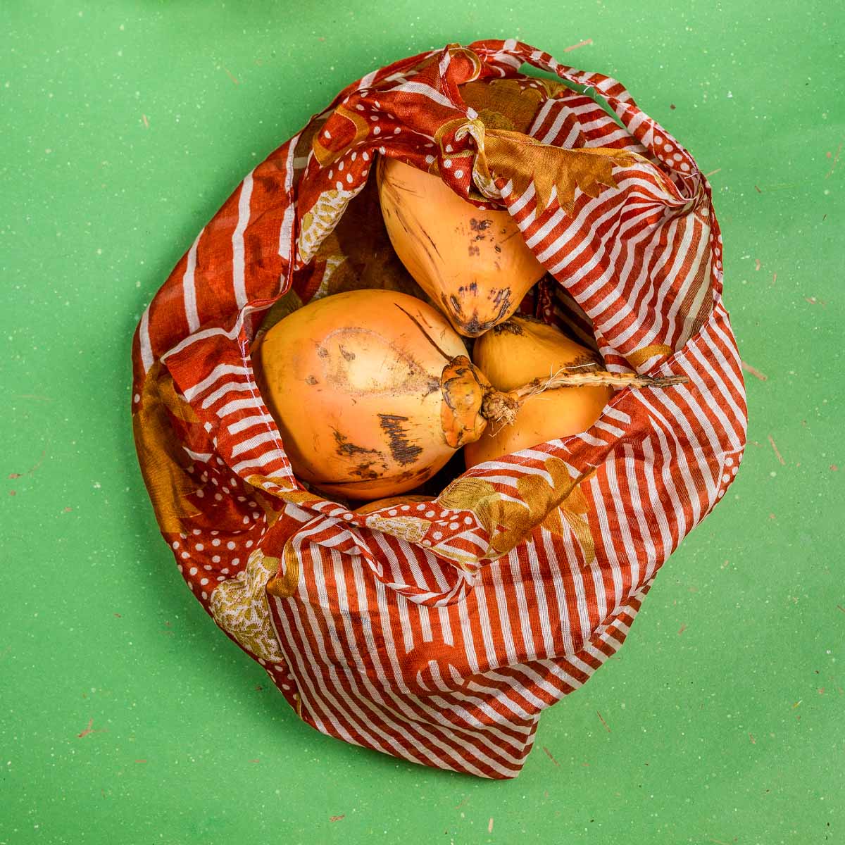 Pumpkin Saree Bag - Large