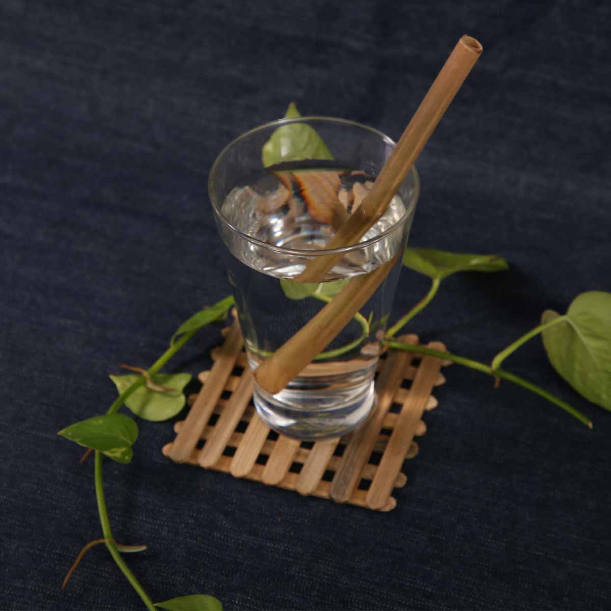 Bamboo Straw & Cleaner