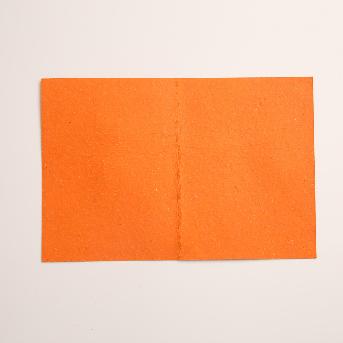 Ceylon Turtle Greeting Card