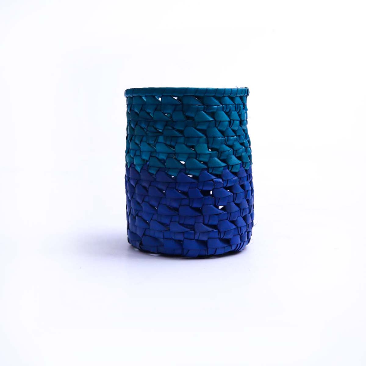Shades Of Blue Palmyra Pen Holder