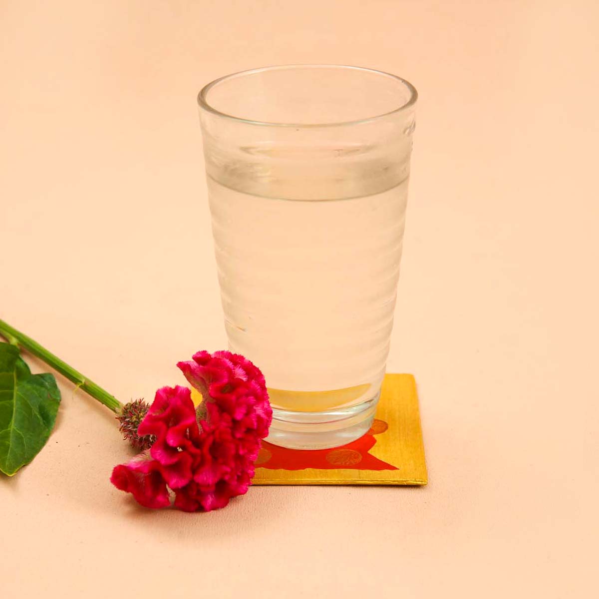 Artisnal Wooden Christmas Coaster Set