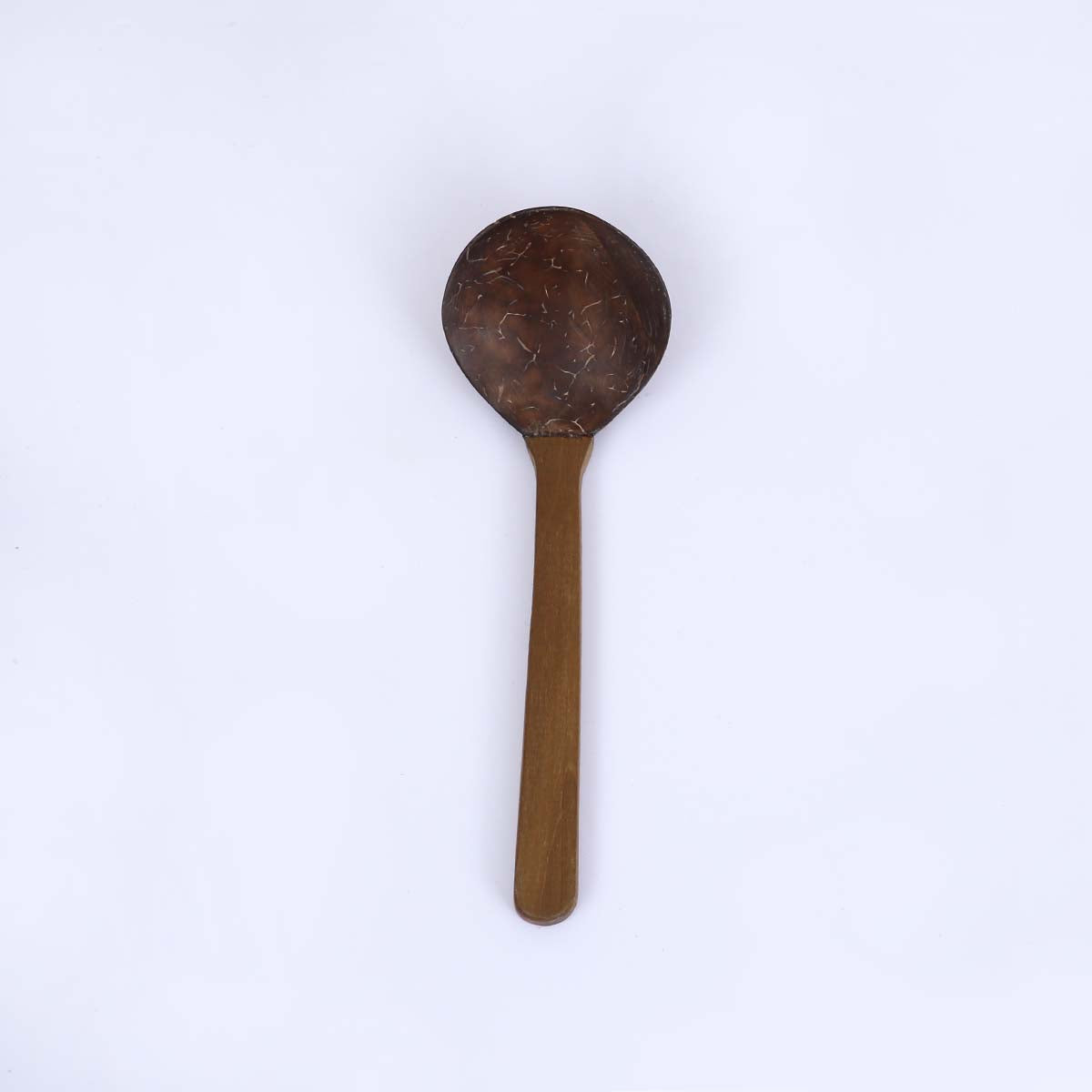 Coconut Shell Spoon