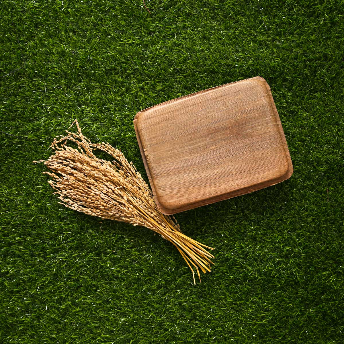 Areca Nut Lunch Container