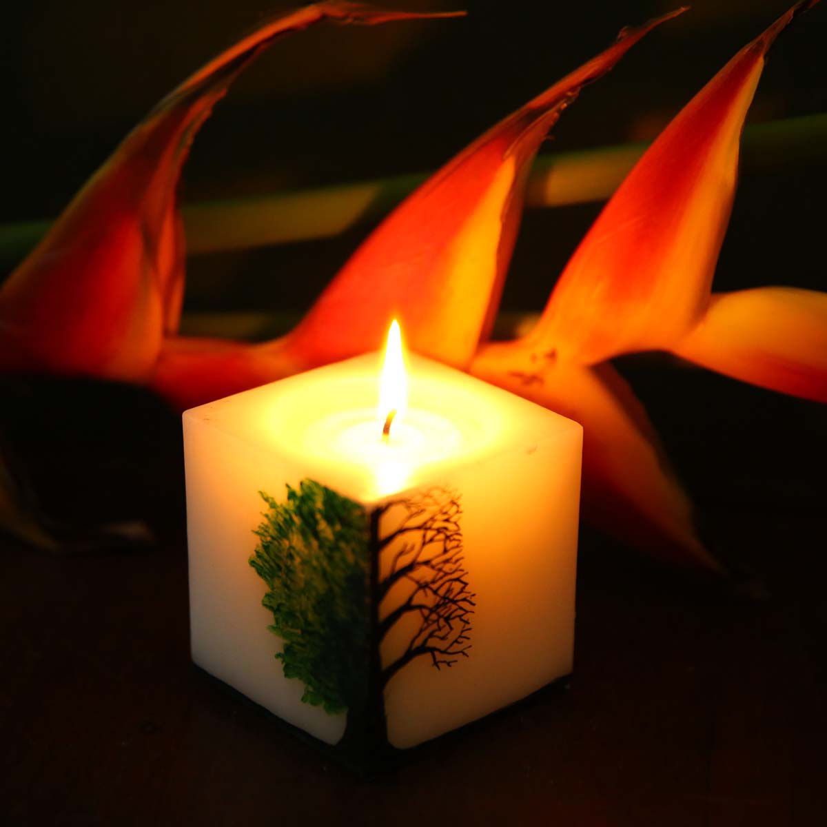 Forest & Desert Square Candle