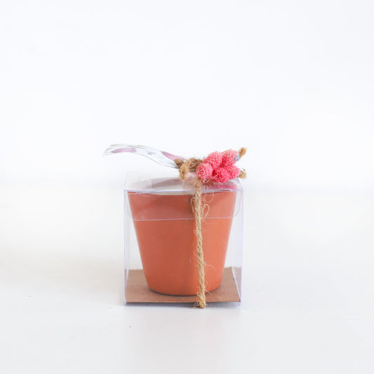 Vanilla Mini Pot Boxed Candle