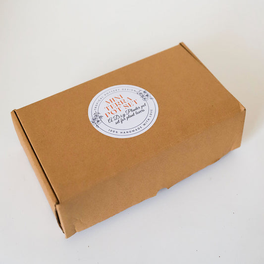 Mini Terracotta Pot Set