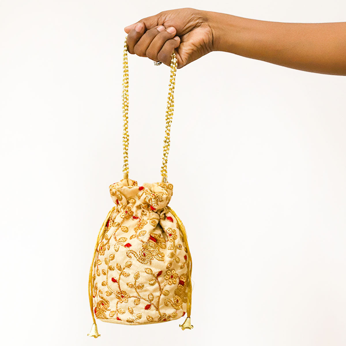 Royal Radiance Polti Bag
