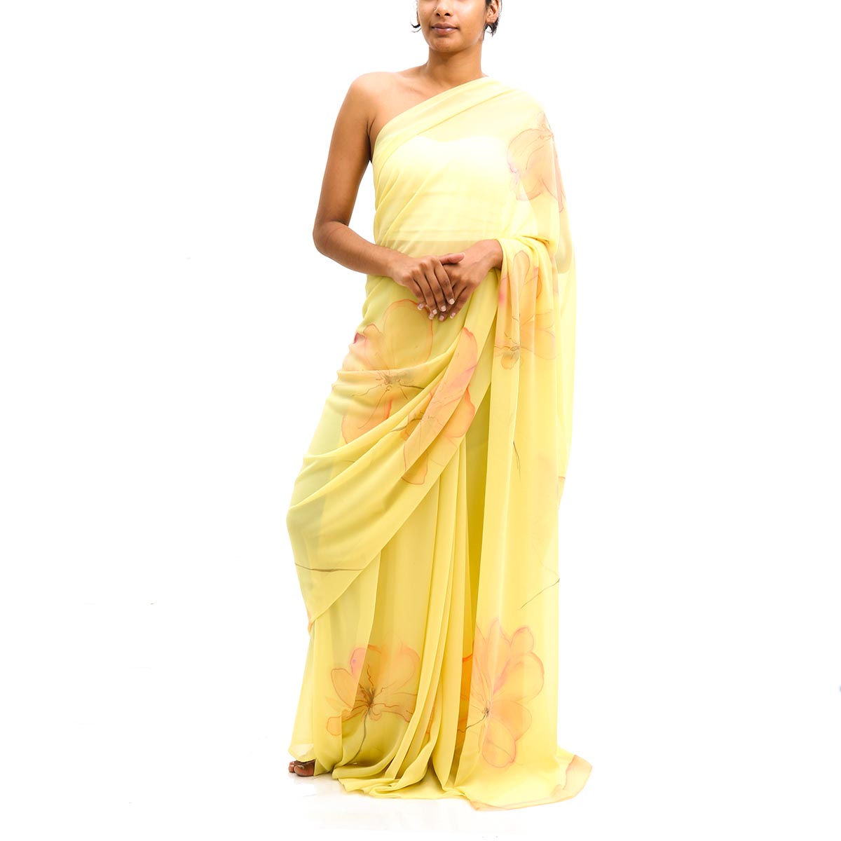 Hand painted chiffon saree