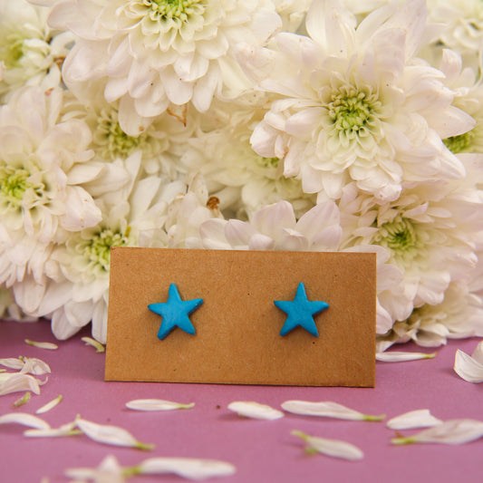 Starfish Terracotta Earrings