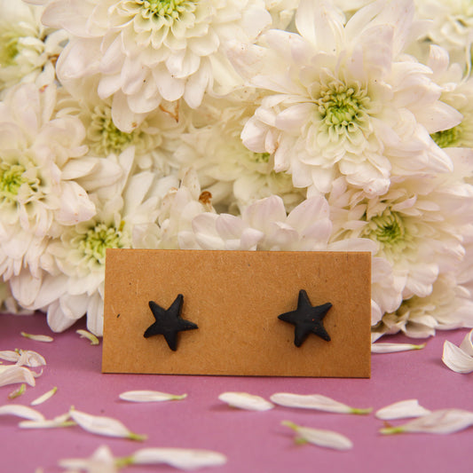 Starfish Terracotta Earrings