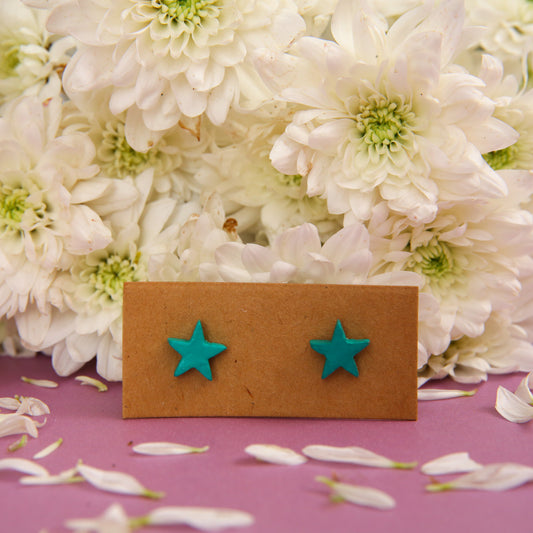 Starfish Terracotta Earrings