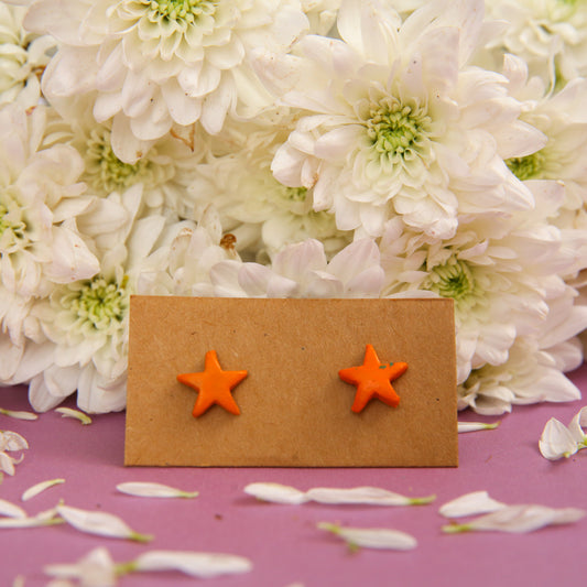 Starfish Terracotta Earrings