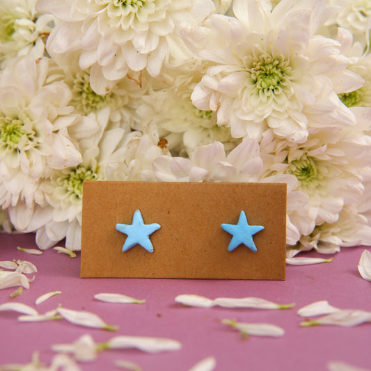 Starfish Terracotta Earrings