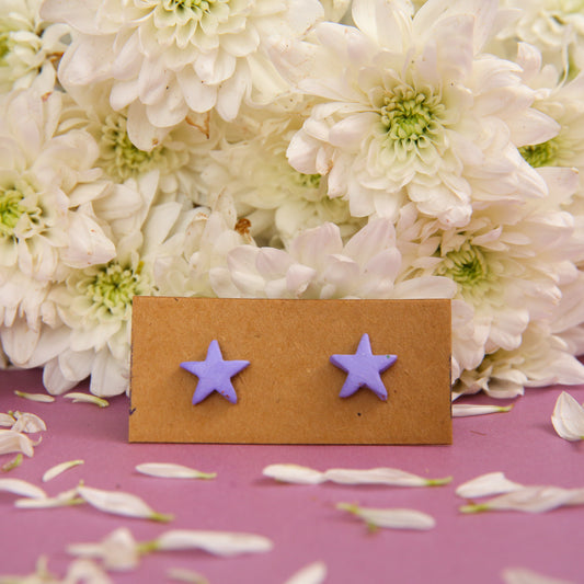 Starfish Terracotta Earrings