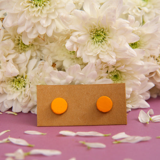 Mustard Terracotta Earrings