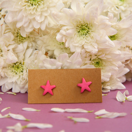 Starfish Terracotta Earrings