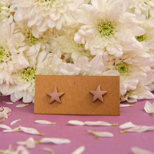 Starfish Terracotta Earrings