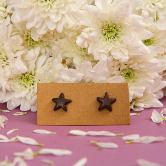 Starfish Terracotta Earrings