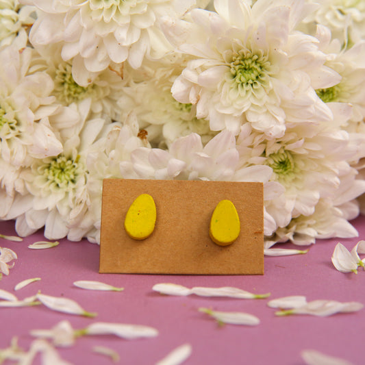 Lime Terracotta Earrings