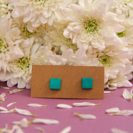 Turq Terracotta Earrings