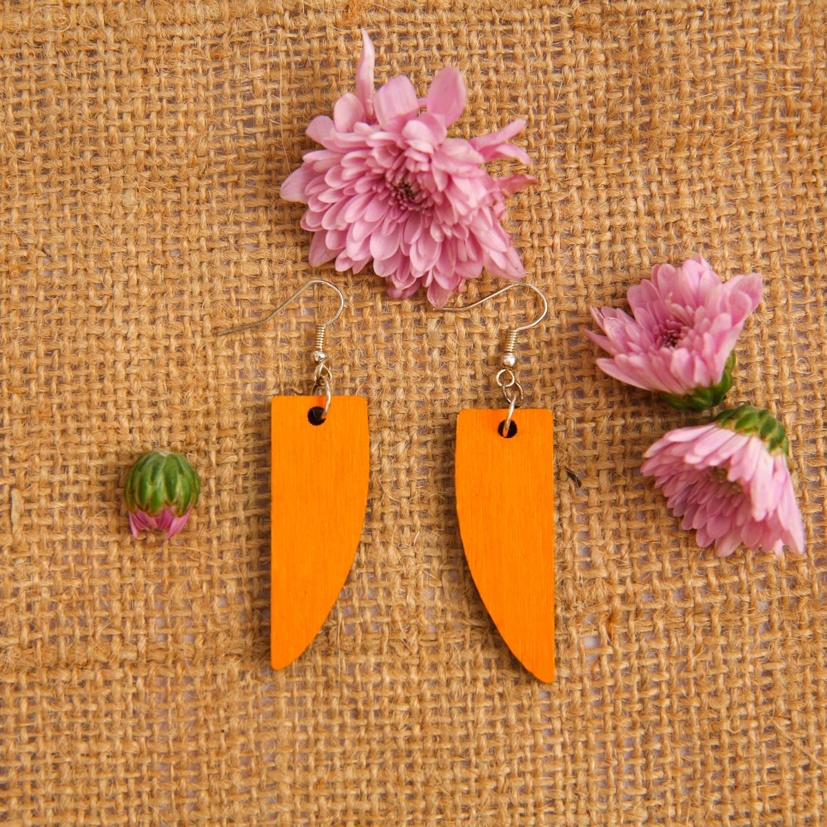 Toucan Beak Wooden Earrings