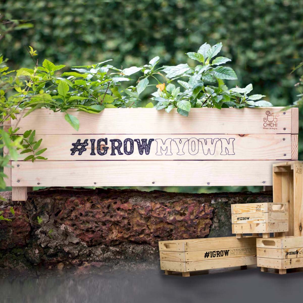 Large Wooden Planter