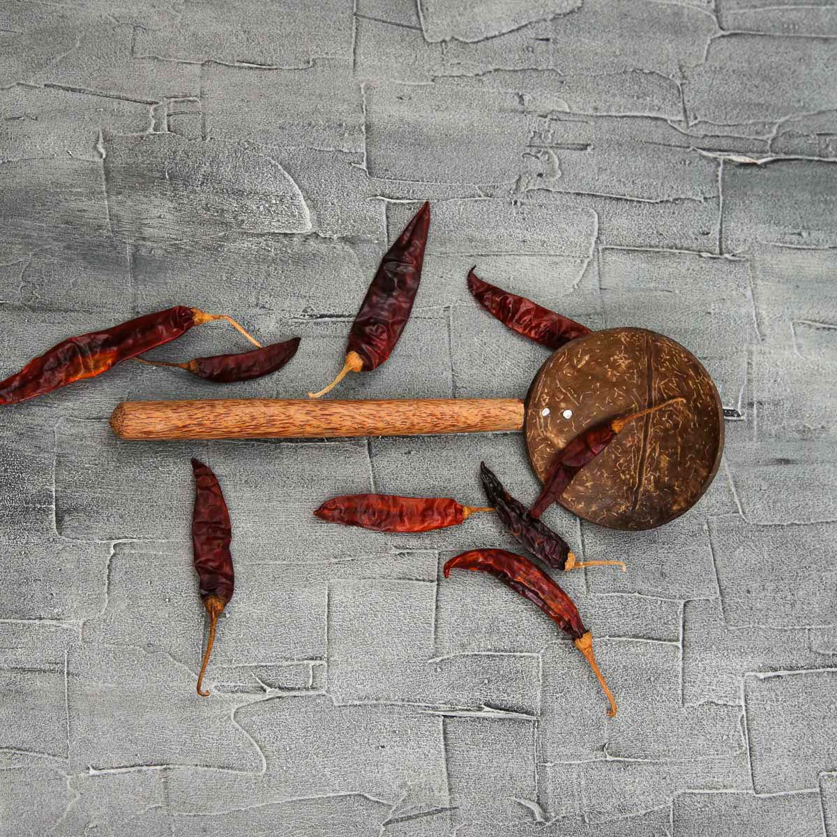 Coconut Shell Spoon 25cm