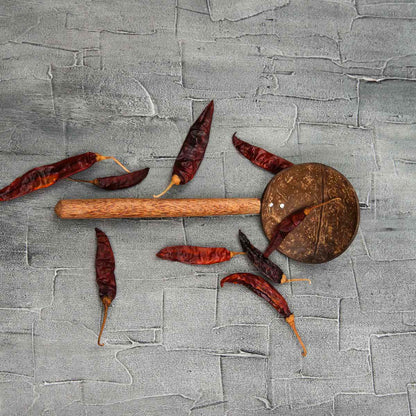 Coconut Shell Spoon 25cm