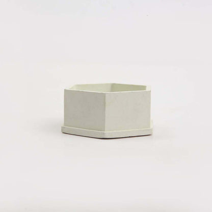 White Hexagon Planter