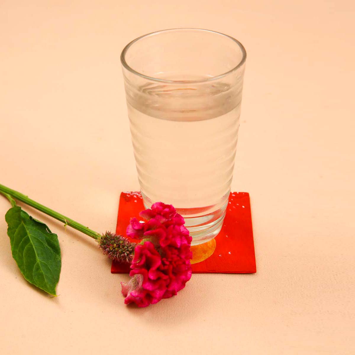 Artisnal Wooden Christmas Coaster Set