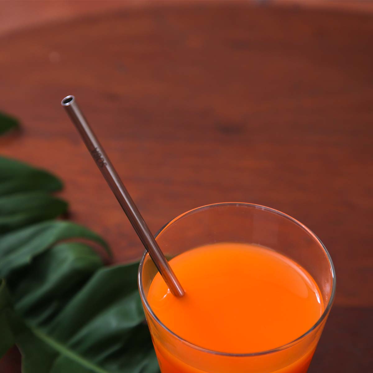 Cocktail Metal Straw Set