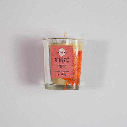 Autumn spice Candles